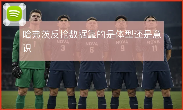 哈弗茨反抢数据靠的是体型还是意识