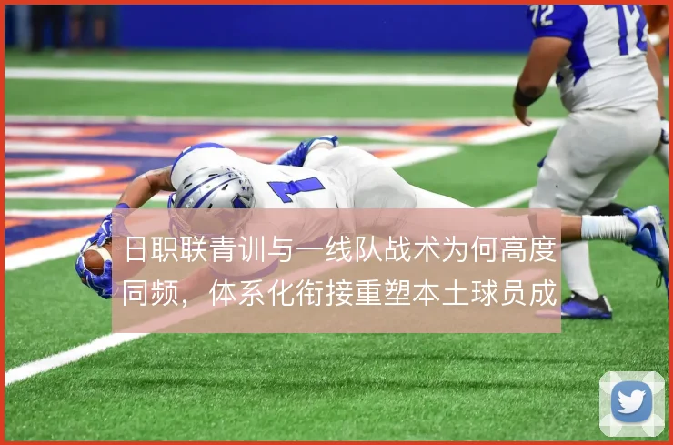 日职联青训与一线队战术为何高度同频，体系化衔接重塑本土球员成长路径