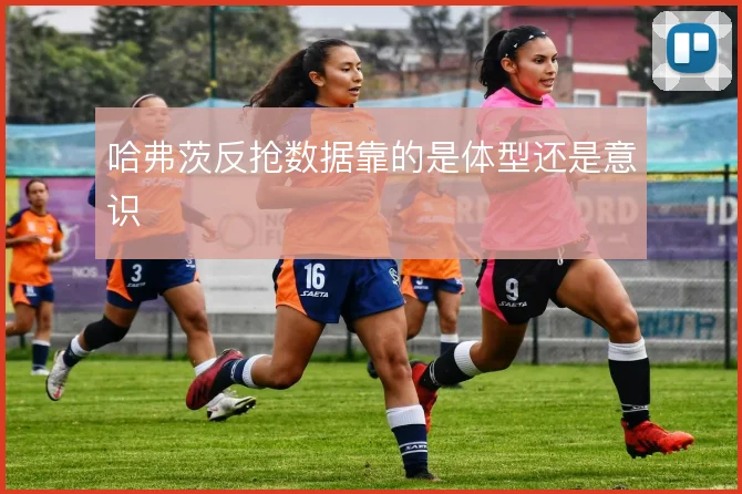 哈弗茨反抢数据靠的是体型还是意识