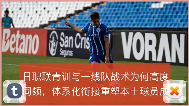 日职联青训与一线队战术为何高度同频，体系化衔接重塑本土球员成长路径